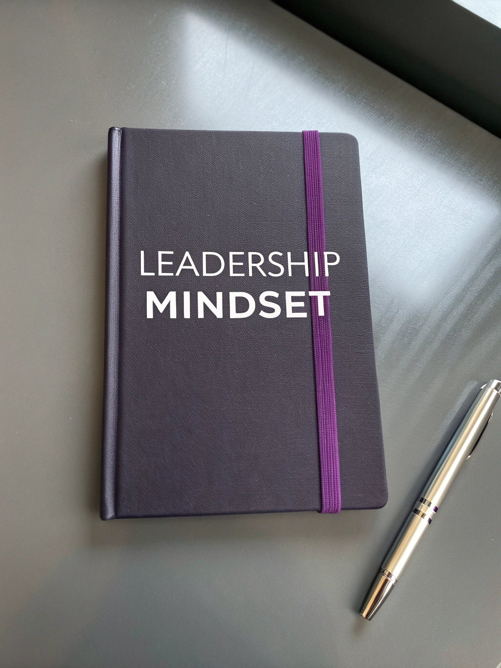 Cover of The Mindset of a Leader